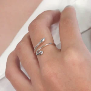 Anel Prat Cobra Liso Variação  Tamanho 19